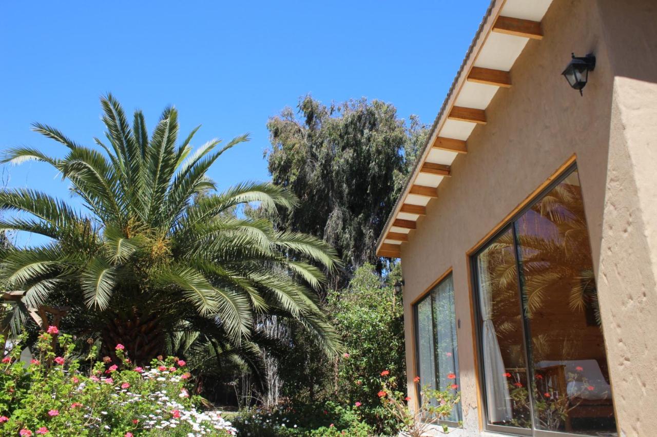 El Arbol Eco Lodge La Serena Exterior photo