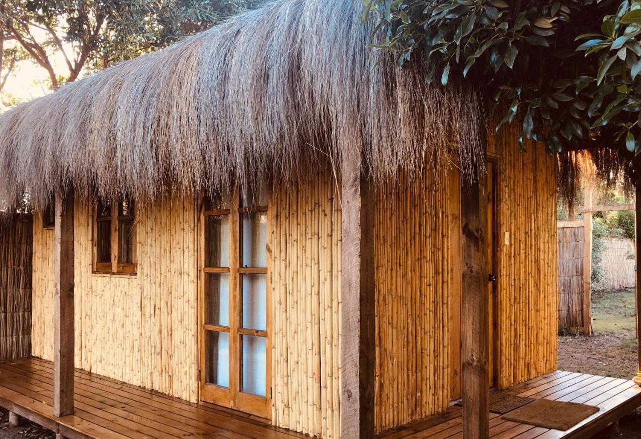 El Arbol Eco Lodge La Serena Exterior photo
