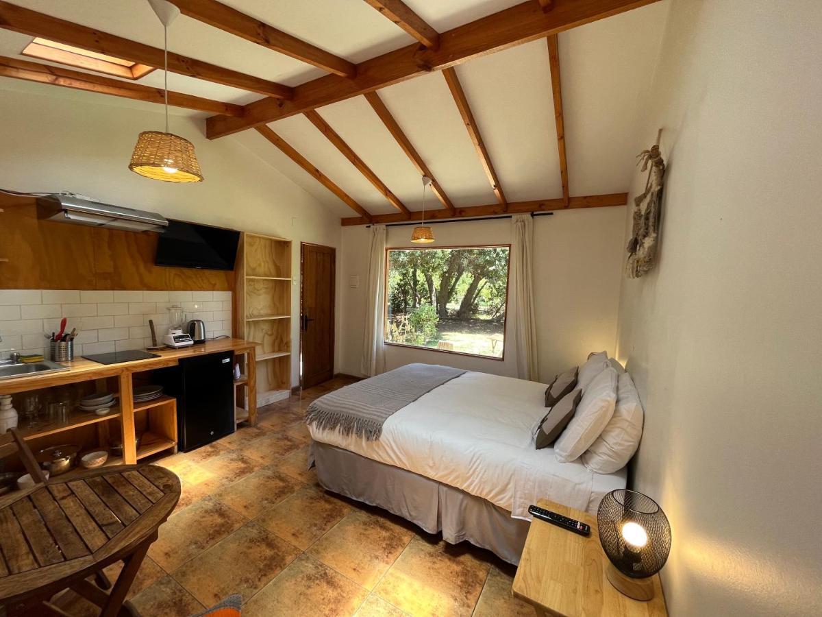 El Arbol Eco Lodge La Serena Exterior photo