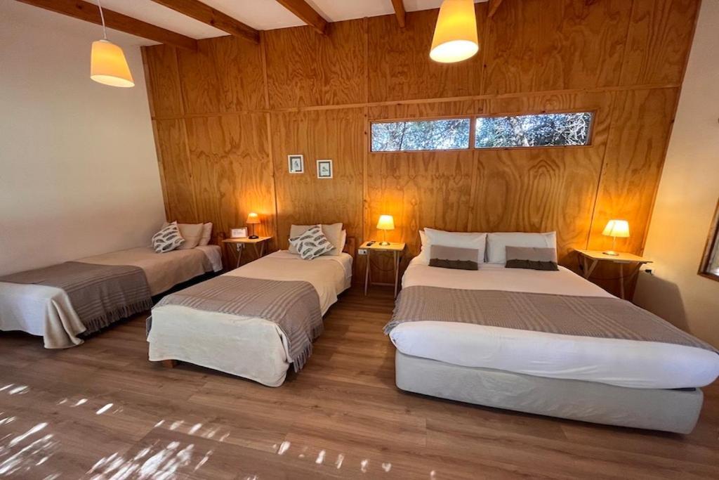 El Arbol Eco Lodge La Serena Exterior photo