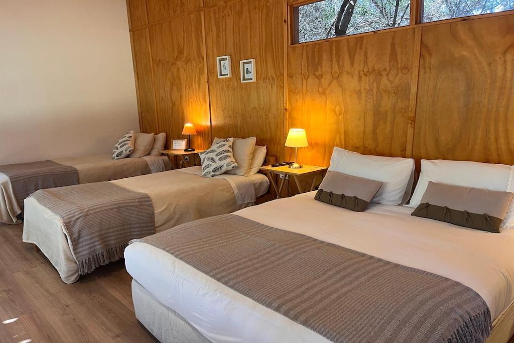 El Arbol Eco Lodge La Serena Exterior photo