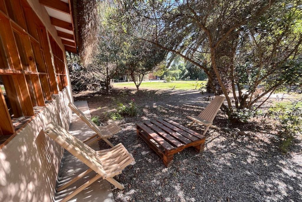El Arbol Eco Lodge La Serena Exterior photo